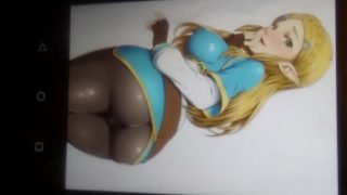Anime Cum Tribute – Princess Zelda