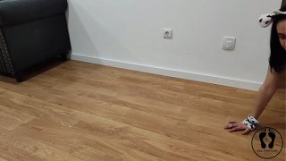 MAD COW MOOING AND WALKING FREE PREVIEW VIDEO