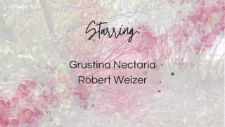 My quadrober GF ran away to the forest, but I found her and fucked in the mouth